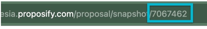 Proposal Snapshot 2024-10-07 at 7.36.13 PM.jpg