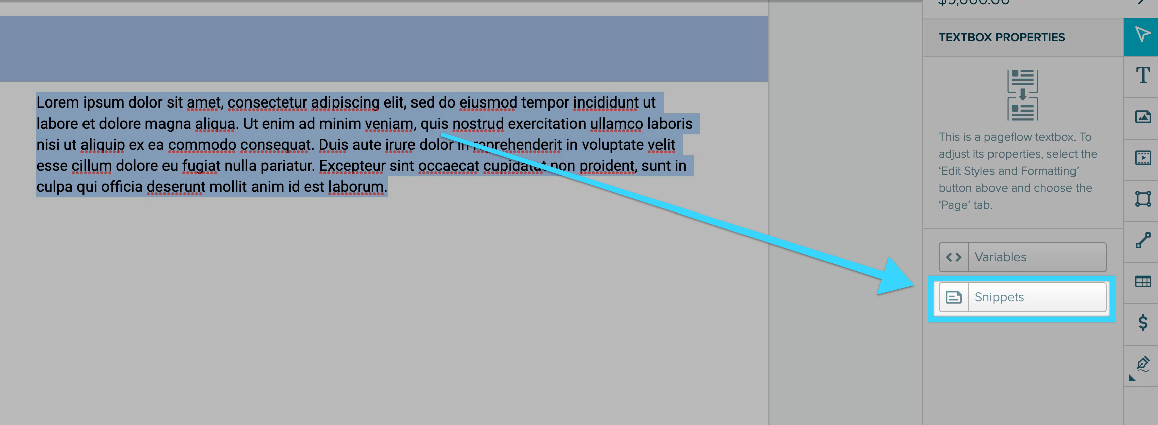 Snippets_Editor_1.jpg